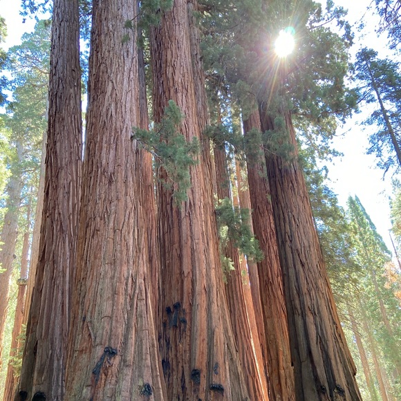 Meet your Posher, Grace - Picture 3 of 11